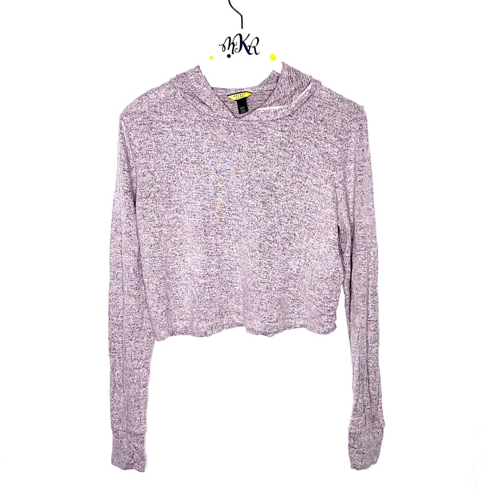 Aeropostale Purple/Grey Cropped Hoodie